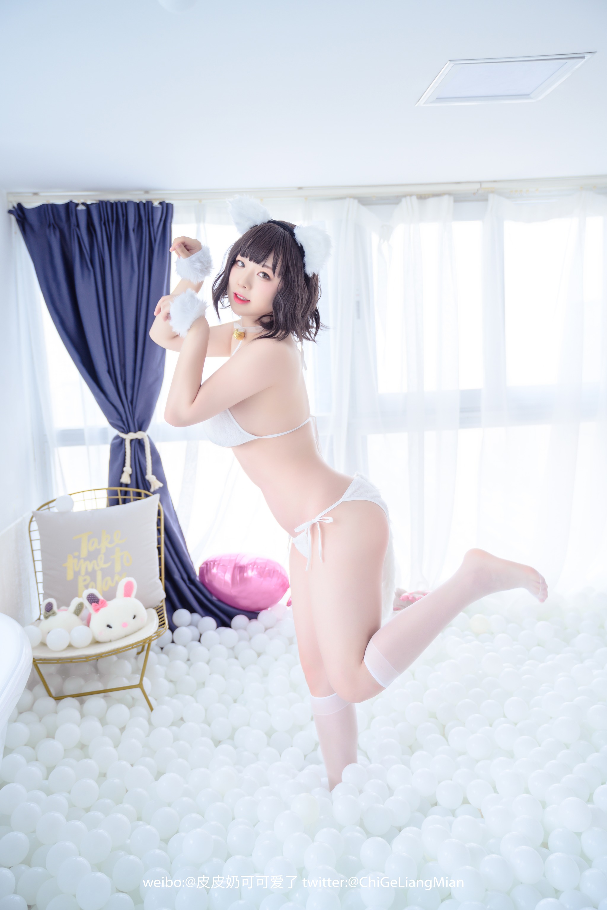 图片[1]-皮皮奶可可爱了啦 – NO.014 白猫 [50P]-XikXak
